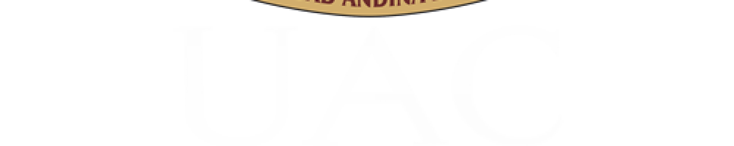 Oscar Alvarez Yanque